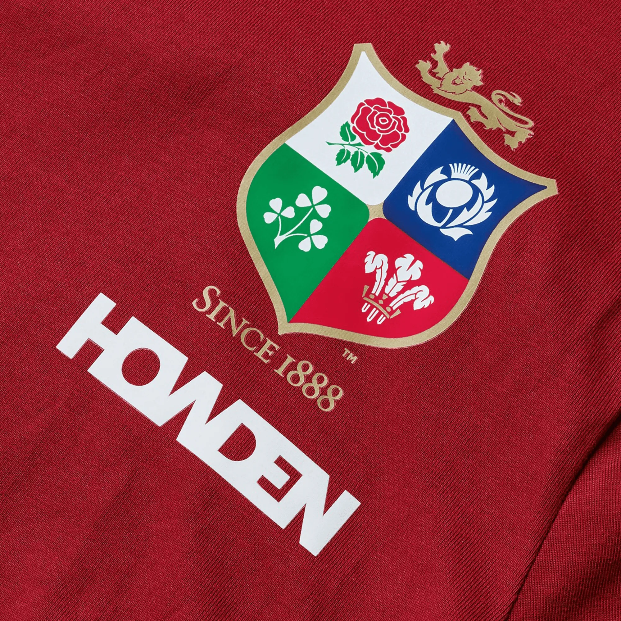 Youth British & Irish Lions 2025 Cotton Jersey Tee by Canterbury