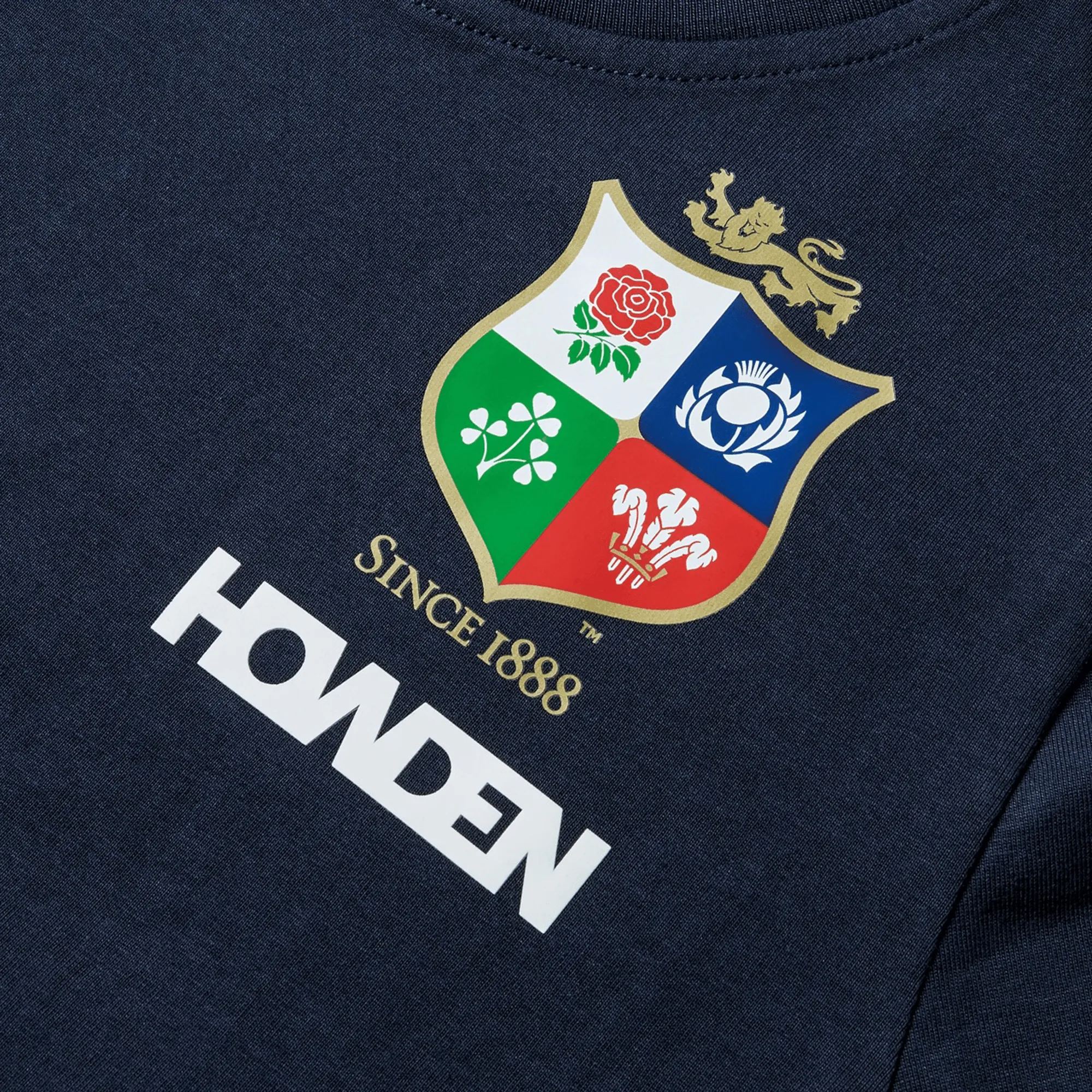 Youth British & Irish Lions 2025 Cotton Jersey Tee by Canterbury