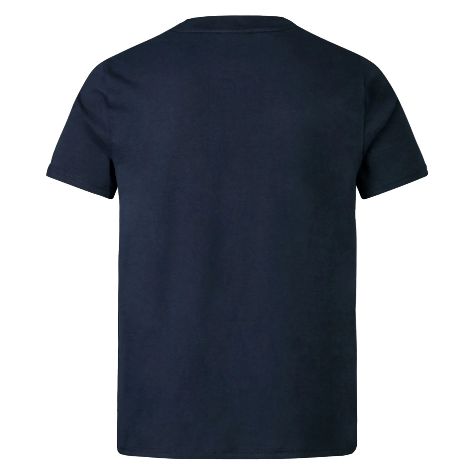 Youth British & Irish Lions 2025 Cotton Jersey Tee by Canterbury