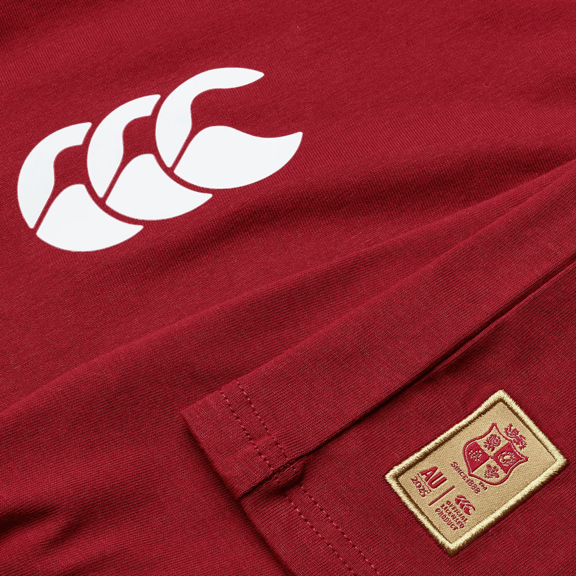Youth British & Irish Lions 2025 Cotton Jersey Tee by Canterbury