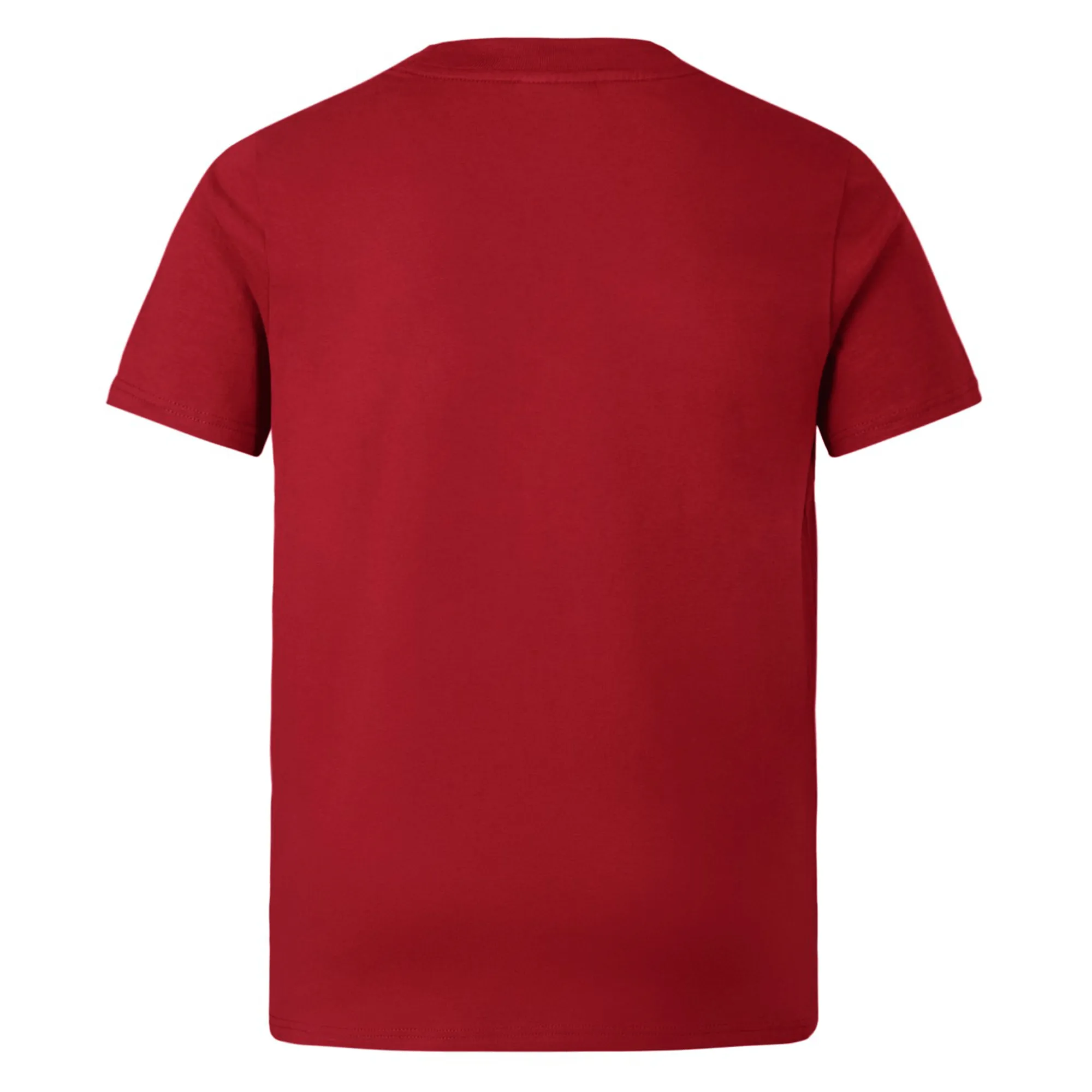 Youth British & Irish Lions 2025 Cotton Jersey Tee by Canterbury